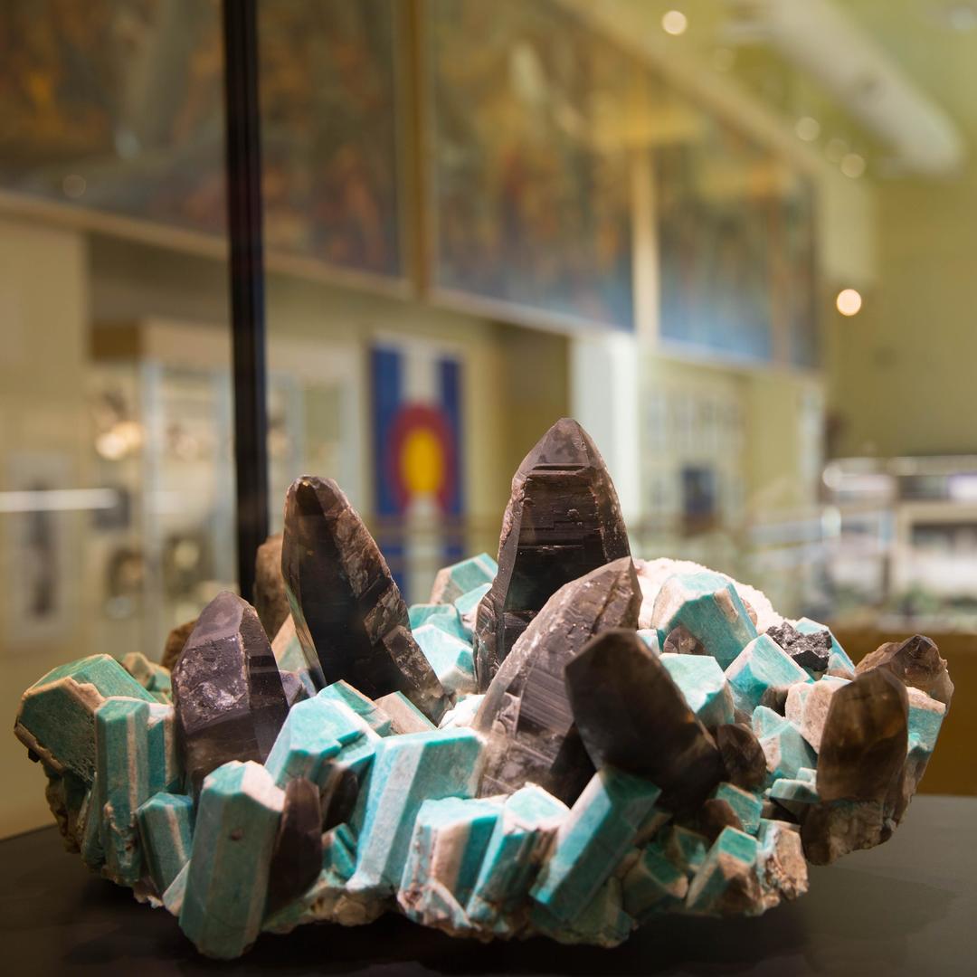 Geology Museum 2019 idigmines Giving Day